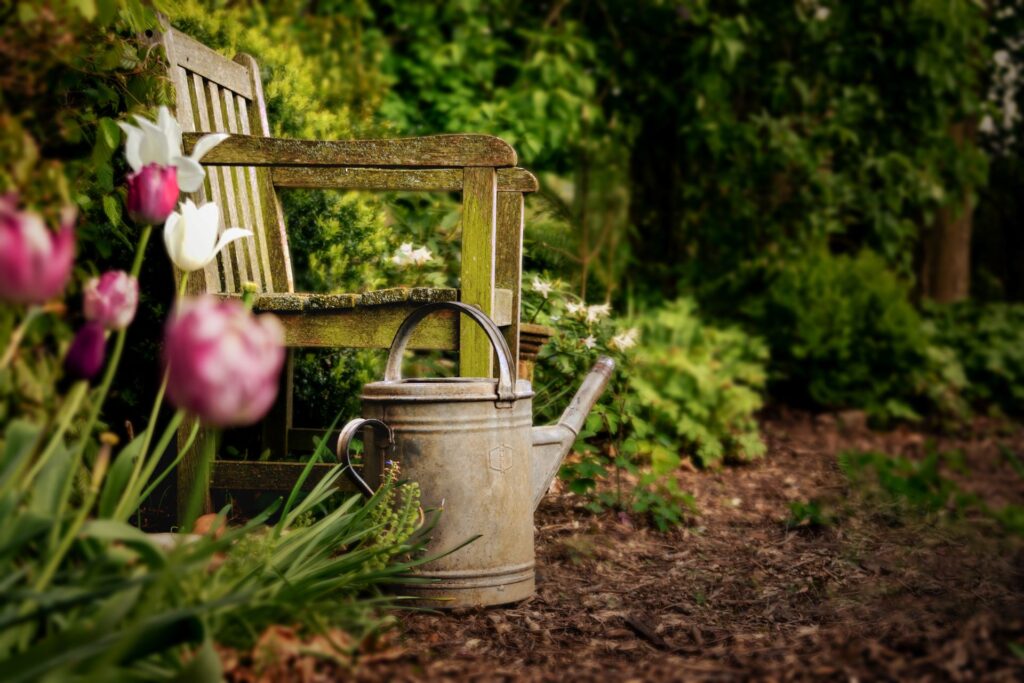 Eine rustikale Parkbank in einem grünen Garten, flankiert von blühenden Tulpen und einer metallenen Gießkanne. Der perfekte Platz zum Entspannen und die Natur zu genießen.