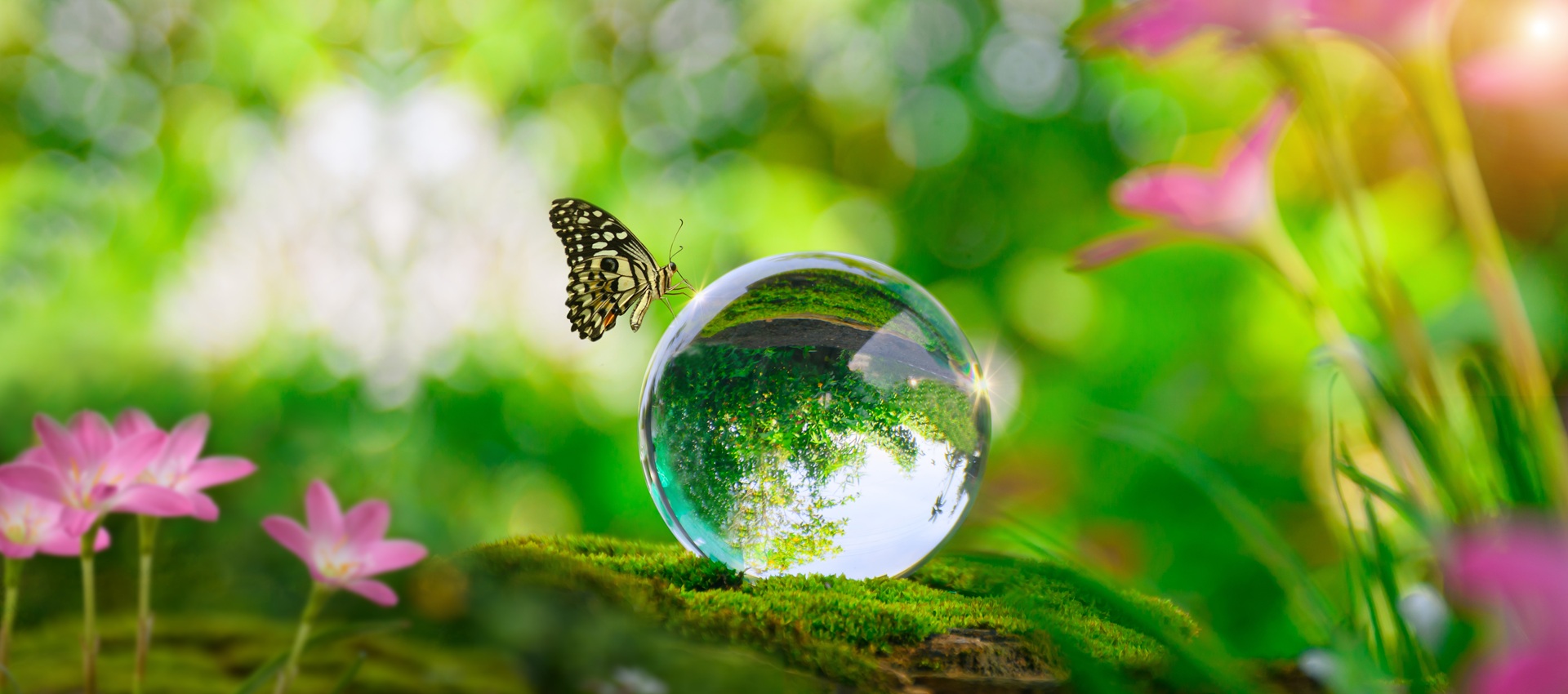 Schmetterling auf Glaskugel mit Natur-Reflektion | Glasbruchfolie